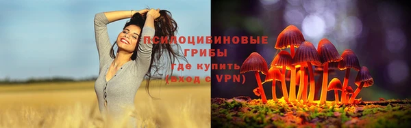 mix Дмитриев