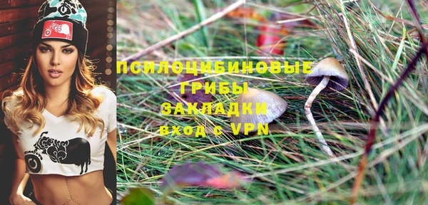 гидропоника Дмитров