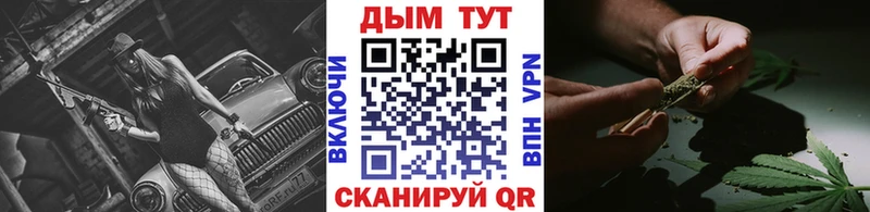Конопля сатива Шуя